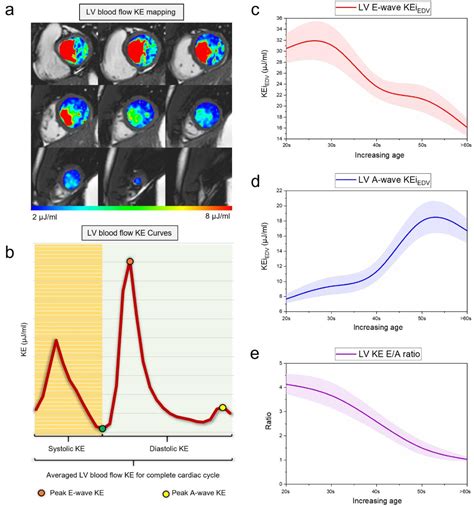 Evaluation of left ventricular blood flow kinetic energy in patients 